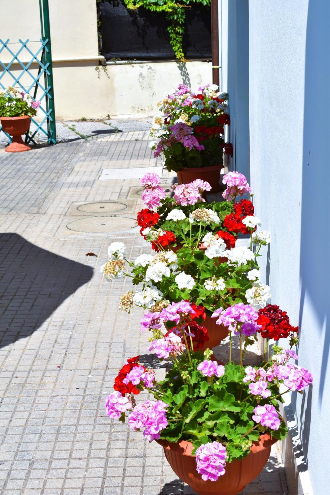 Villa Villino La Perla Azzurra- Marina Di Pisa Exterior foto
